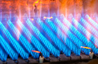 Ronaldsvoe gas fired boilers
